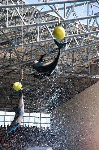 DSC_0207e.jpg
