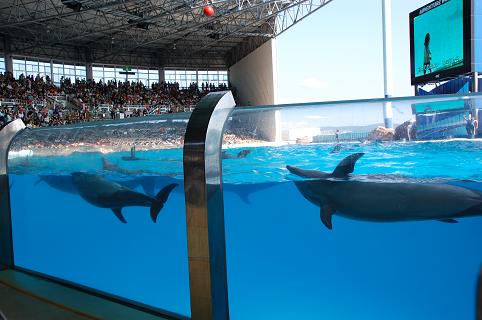 DSC_0210e.jpg