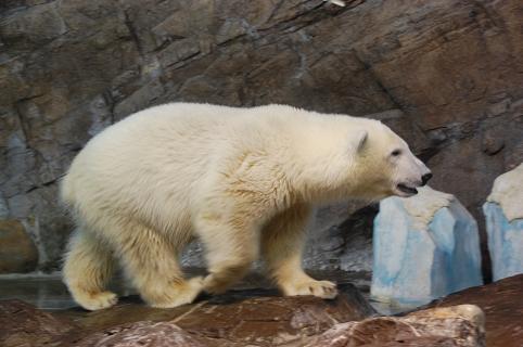 DSC_0215e.jpg