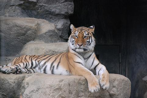 DSC_0269.jpg