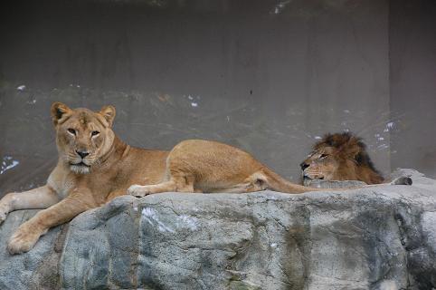 DSC_0271.jpg