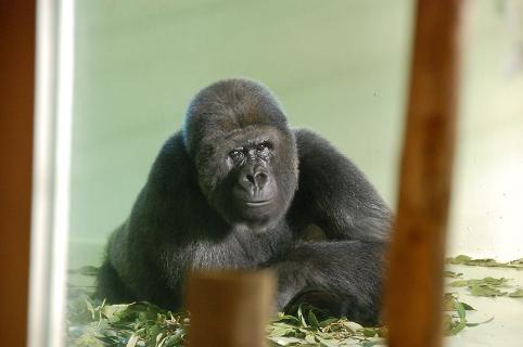 DSC_0297.jpg
