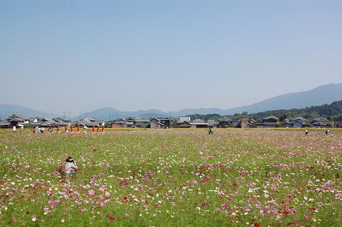 DSC_0365.jpg