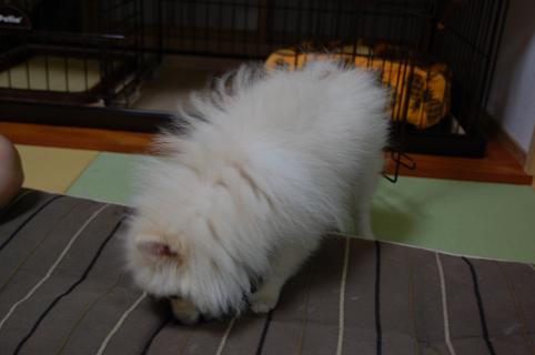 DSC_0377.jpg