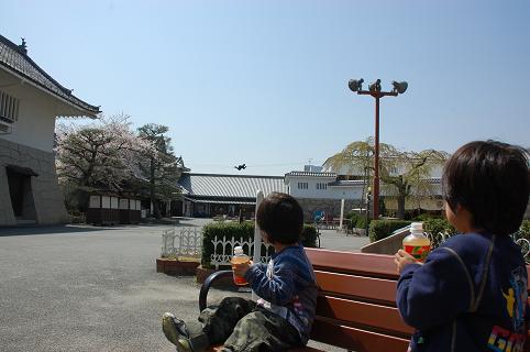 DSC_a303.jpg